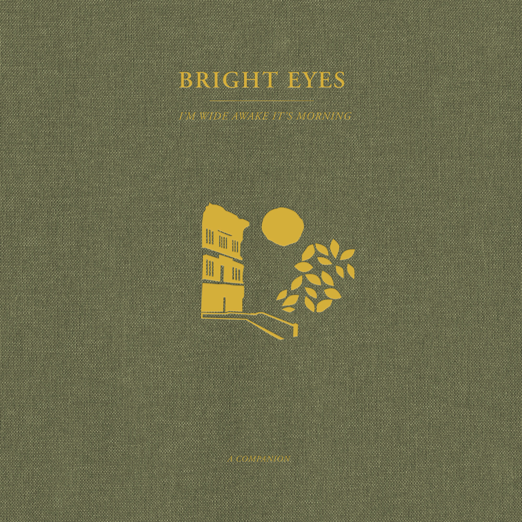 deadoceans-bright-eyes-announce-second-wave-of-companion-releases